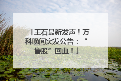 王石最新发声！万科晚间突发公告：“售股”回血！