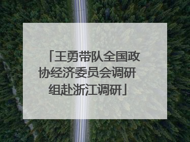 王勇带队全国政协经济委员会调研组赴浙江调研