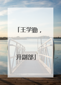 王学勤，升副部