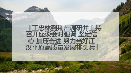 王忠林到荆州调研并主持召开座谈会时强调 坚定信心 加压奋进 努力当好江汉平原高质量发展排头兵