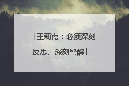王莉霞：必须深刻反思、深刻警醒
