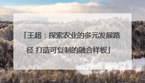 王超：探索农业的多元发展路径 打造可复制的融合样板