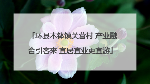 环县木钵镇关营村 产业融合引客来 宜居宜业更宜游