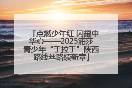 点燃少年红 闪耀中华心——2025浦莎青少年“手拉手”陕西路线丝路续新章