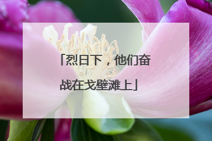 烈日下，他们奋战在戈壁滩上