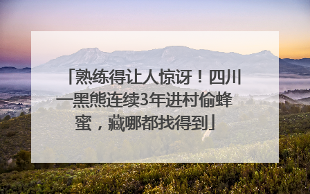 熟练得让人惊讶！四川一黑熊连续3年进村偷蜂蜜，藏哪都找得到