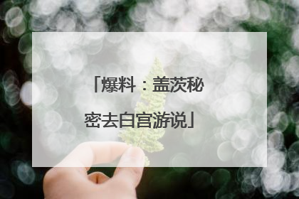 爆料：盖茨秘密去白宫游说
