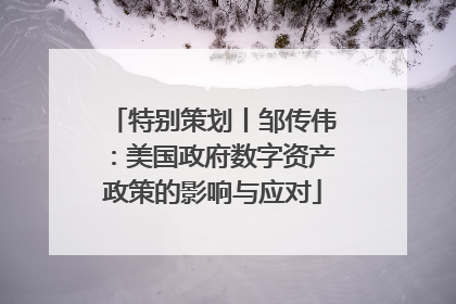 特别策划丨邹传伟：美国政府数字资产政策的影响与应对
