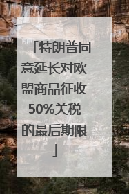 特朗普同意延长对欧盟商品征收50%关税的最后期限