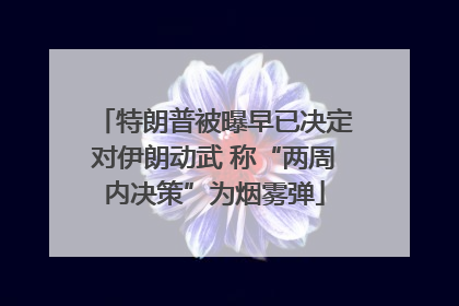 特朗普被曝早已决定对伊朗动武 称“两周内决策”为烟雾弹