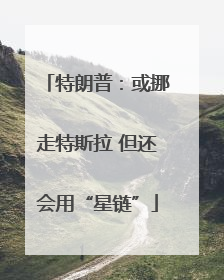 特朗普：或挪走特斯拉 但还会用“星链”