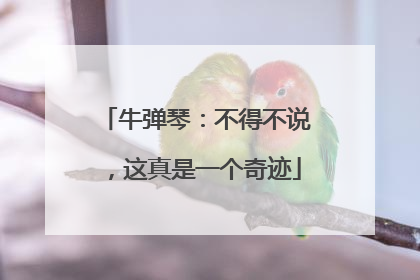 牛弹琴：不得不说，这真是一个奇迹