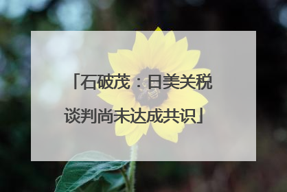 石破茂：日美关税谈判尚未达成共识