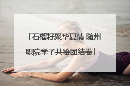石榴籽聚华夏情 随州职院学子共绘团结卷