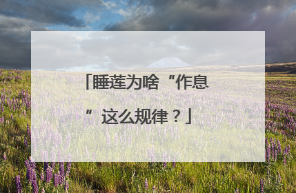 睡莲为啥“作息”这么规律？