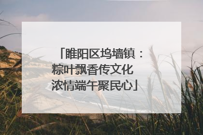 睢阳区坞墙镇：粽叶飘香传文化 浓情端午聚民心