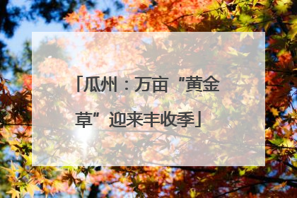 瓜州：万亩“黄金草”迎来丰收季