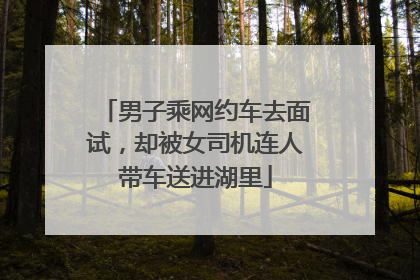 男子乘网约车去面试，却被女司机连人带车送进湖里