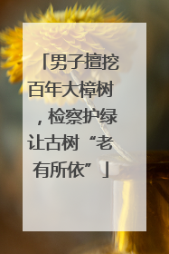 男子擅挖百年大樟树，检察护绿让古树“老有所依”
