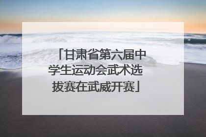 甘肃省第六届中学生运动会武术选拔赛在武威开赛