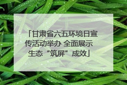 甘肃省六五环境日宣传活动举办 全面展示生态“筑屏”成效