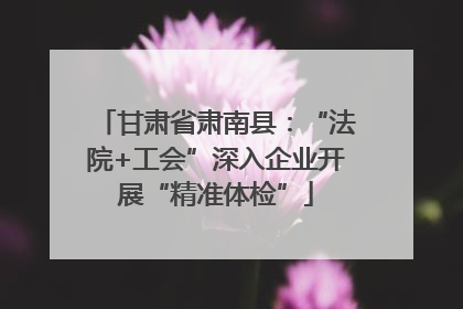 甘肃省肃南县：“法院+工会”深入企业开展“精准体检”