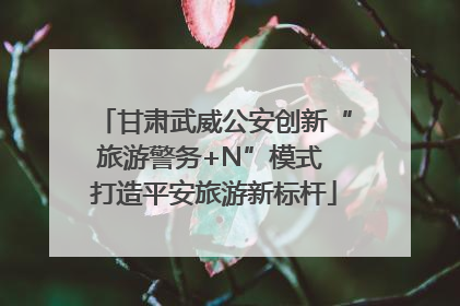 甘肃武威公安创新“旅游警务+N”模式 打造平安旅游新标杆