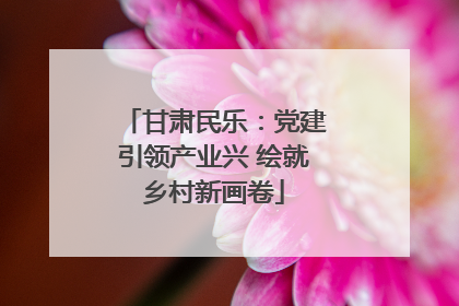甘肃民乐：党建引领产业兴 绘就乡村新画卷
