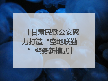 甘肃民勤公安聚力打造“空地联勤”警务新模式