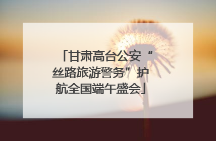 甘肃高台公安“丝路旅游警务”护航全国端午盛会