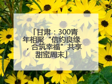 甘肃：300青年相聚“信约良缘，合筑幸福”共享甜蜜周末