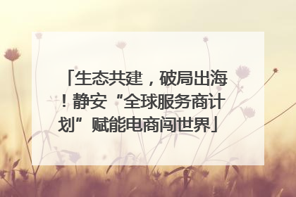 生态共建，破局出海！静安“全球服务商计划”赋能电商闯世界