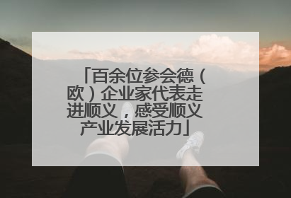 百余位参会德（欧）企业家代表走进顺义，感受顺义产业发展活力