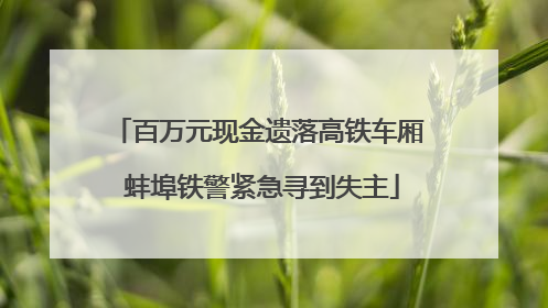 百万元现金遗落高铁车厢 蚌埠铁警紧急寻到失主