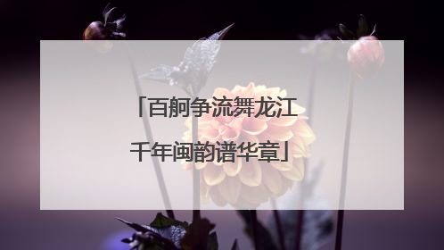 百舸争流舞龙江 千年闽韵谱华章