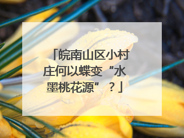 皖南山区小村庄何以蝶变“水墨桃花源”？