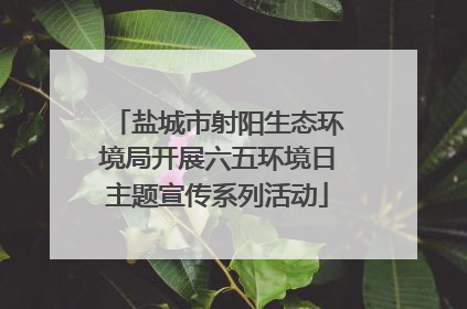 盐城市射阳生态环境局开展六五环境日主题宣传系列活动