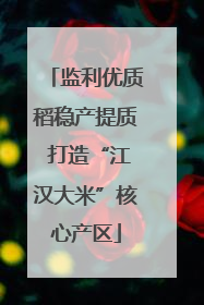 监利优质稻稳产提质 打造“江汉大米”核心产区