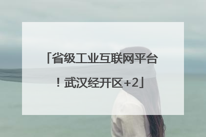 省级工业互联网平台！武汉经开区+2