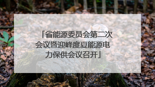 省能源委员会第二次会议暨迎峰度夏能源电力保供会议召开