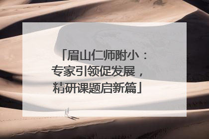 眉山仁师附小：专家引领促发展，精研课题启新篇