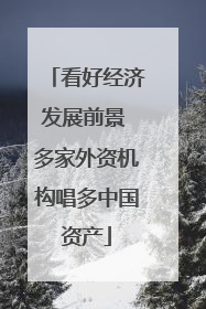 看好经济发展前景 多家外资机构唱多中国资产