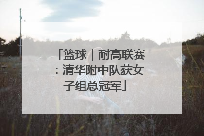 篮球｜耐高联赛：清华附中队获女子组总冠军