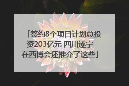 签约8个项目计划总投资203亿元 四川遂宁在西博会还推介了这些