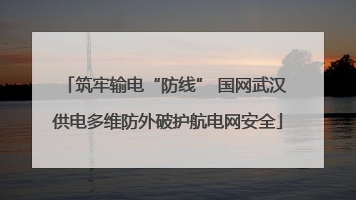 筑牢输电“防线” 国网武汉供电多维防外破护航电网安全