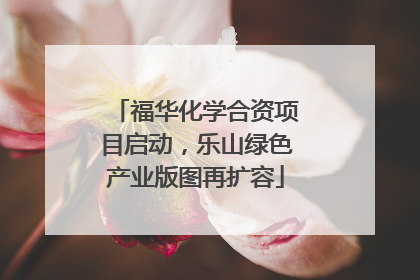 福华化学合资项目启动，乐山绿色产业版图再扩容