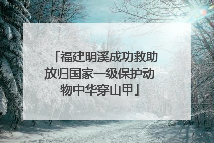 福建明溪成功救助放归国家一级保护动物中华穿山甲