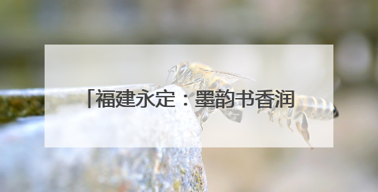 福建永定：墨韵书香润东中 丹青赋能促振兴