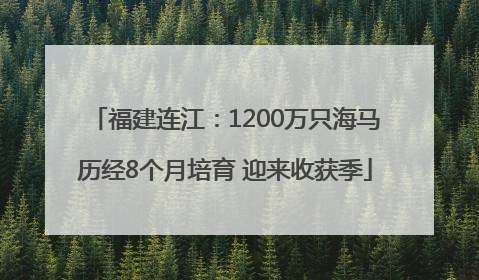 福建连江：1200万只海马历经8个月培育 迎来收获季