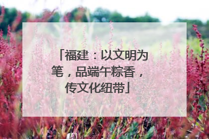 福建：以文明为笔，品端午粽香，传文化纽带